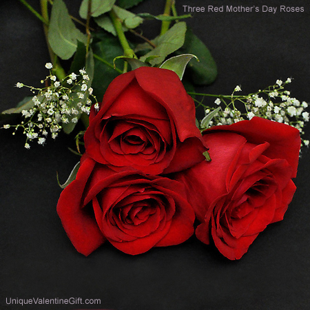 Rose Mother  Pictures, News, Information from the web