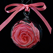 Pink Blush Rose Ornament