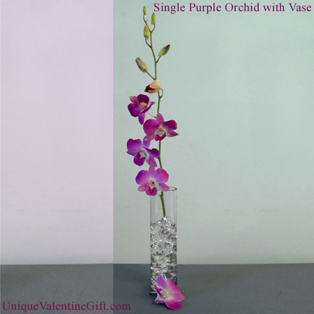 Single Purple Dendrobium Orchid with Vase Single Purple Dendrobium Orchid with Vase