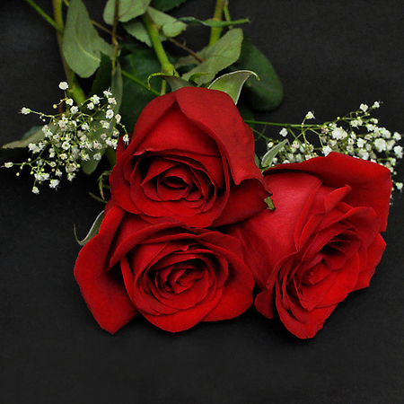 Three Red Mother's Day Roses